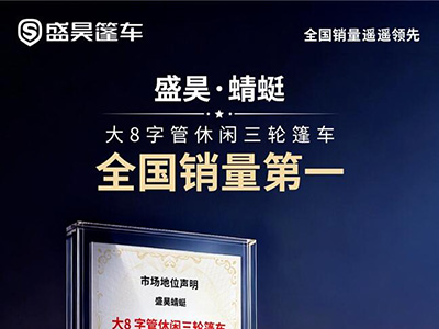 銷量為王：盛昊蜻蜓以實力確立細分市場領跑地位